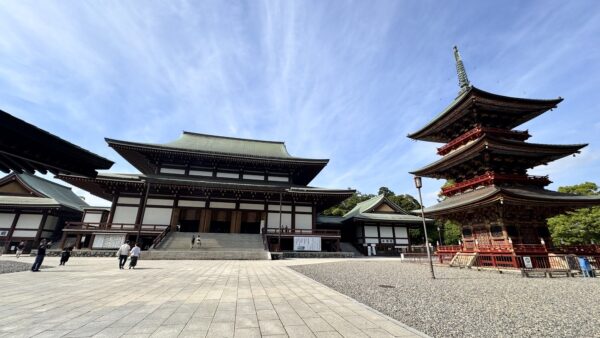 【週末ぶらり旅】迫力満点！成田山新勝寺へ！～心が整う素敵時間（混雑回避）～