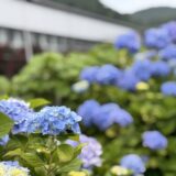 【南房総エリア】日帰りでリゾート気分✨ 忙しい人のための“効率旅”道の駅コース！