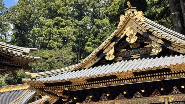 日光、再発見の旅（モデルコース）｜時間帯で楽しむおすすめの過ごし方