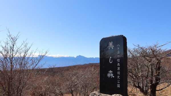 清里観光の新定番「美し森」｜秋の紅葉と絶景を楽しむおすすめハイキング