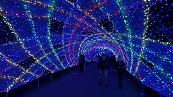 関東のイルミネーション2025｜いつから始まる？写真映えする人気スポット6選