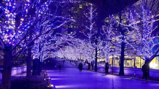 【2025-26年最新版】関東の無料イルミネーション特集｜入場無料で楽しめる人気スポット8選