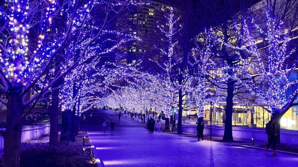 【2025-26年最新版】関東の無料イルミネーション特集｜入場無料で楽しめる人気スポット8選