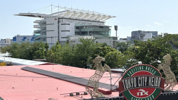 【2025-26年最新版】東京メガイルミ（大井競馬場）完全ガイド｜開催期間・混雑・見どころ・写真映えスポットまとめ